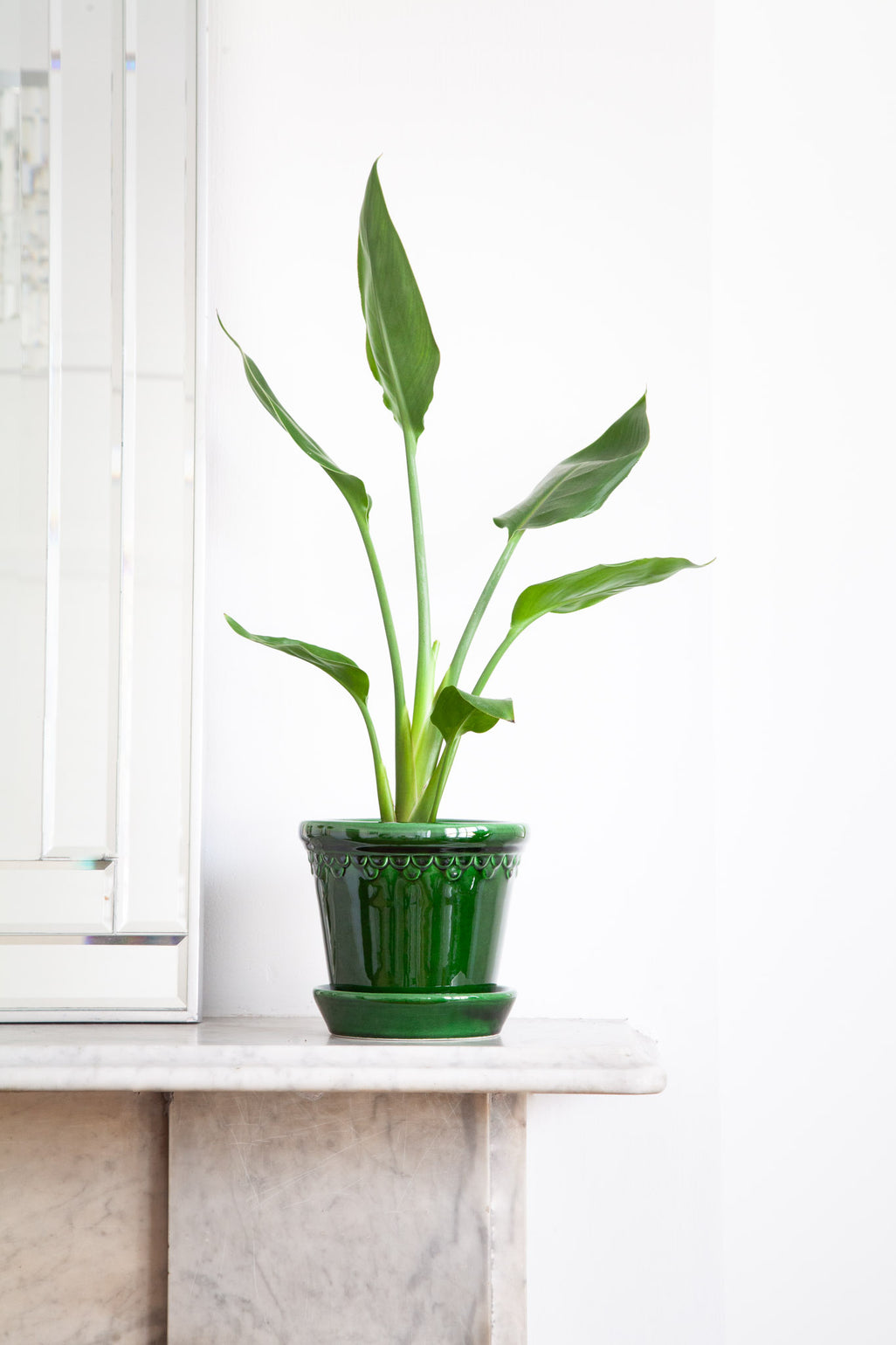 files/IndoorPlants_2-JamieShots20.11.2023-094.jpg
